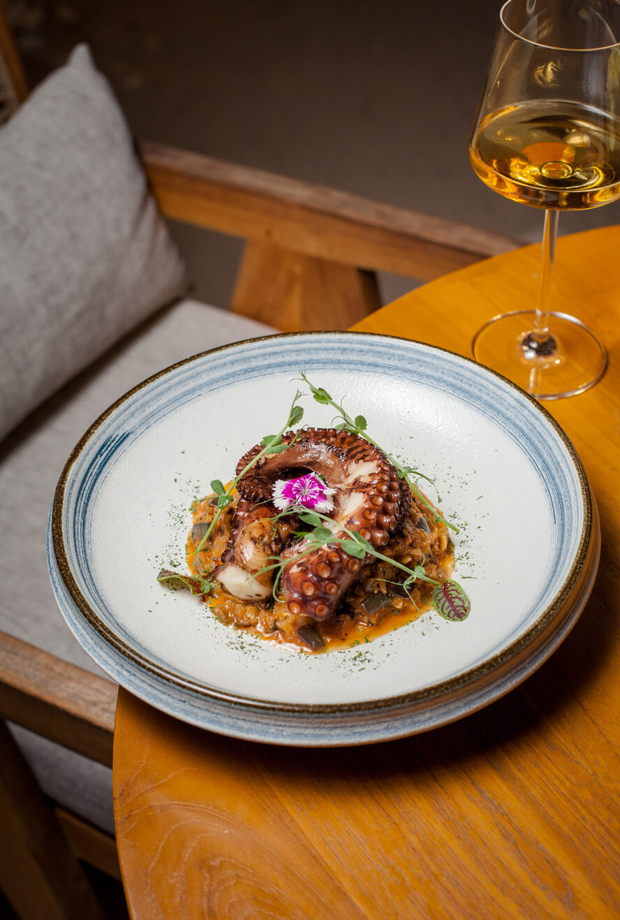 Delicious Fusion Mediterranean Cuisine — 2